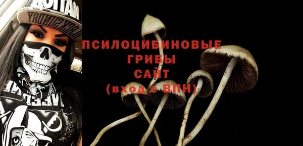 MESCALINE Вяземский