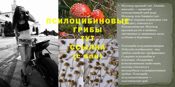 MESCALINE Вяземский