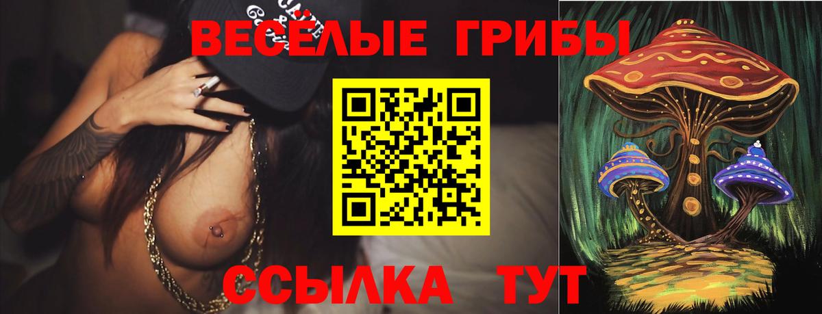Псилоцибиновые грибы Psilocybe Уфа