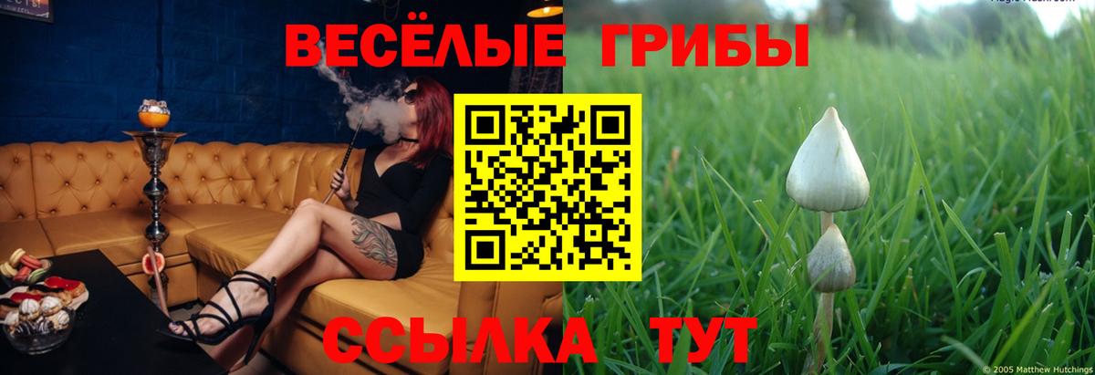 купить   Вход с VPN  Уфа  Псилоцибиновые грибы MAGIC MUSHROOMS 